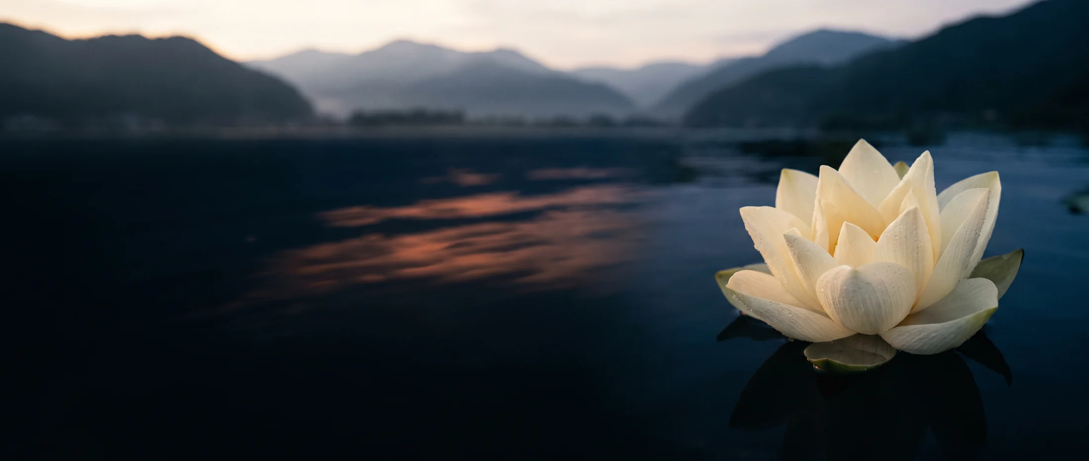 Loto sull’acqua: immagine originale creata con IA